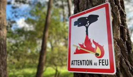Prévention: Interdiction de pénétrer dans les zones forestières du Gard